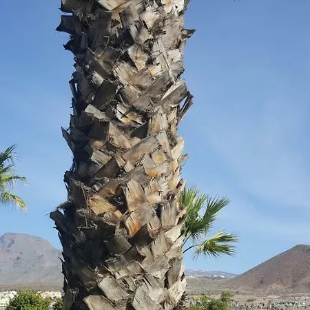 Apartment Av. De Chayofita * Arona (Tenerife)
